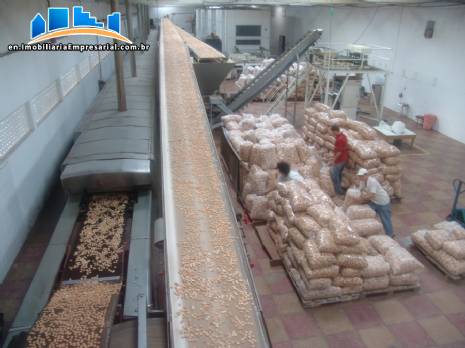 Automated line for production of cookies capacity 800 kg/h